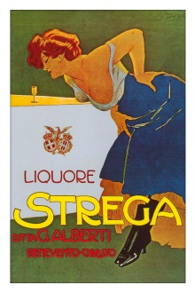 premio strega poster