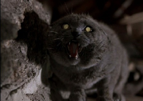 Pet Sematary, di Stephen King