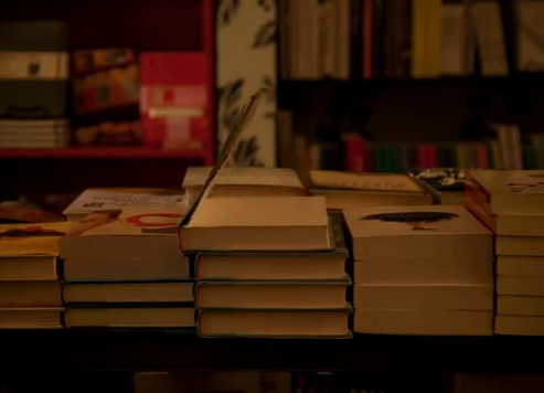 The Joy of Books, il video: i libri si animano di notte