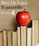 Il pannello, Erri De Luca