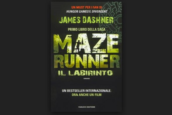 maze runner labirinto