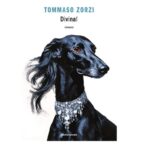 divina! tommaso zorzi